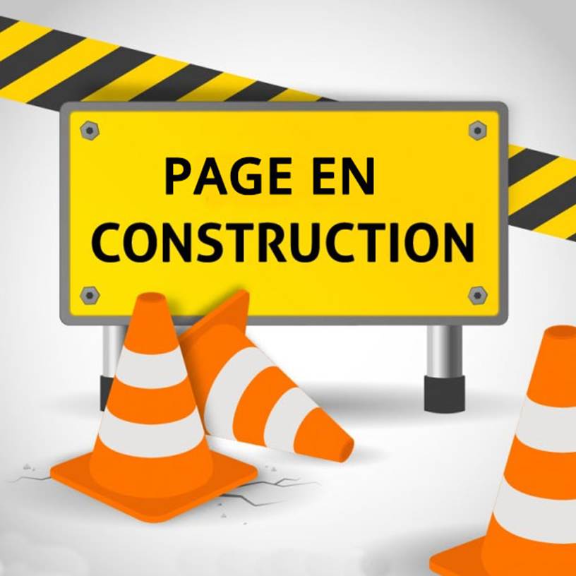Une image contenant texte, cne, signe, orange

Le contenu gnr par lIA peut tre incorrect.